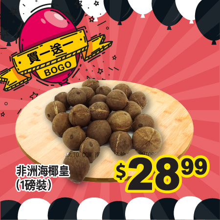 [買一送一] 非洲海椰皇 (1磅裝)