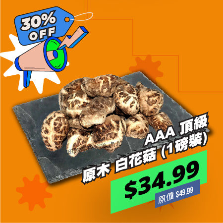 AAA 頂級 原木 白花菇 (1磅裝)